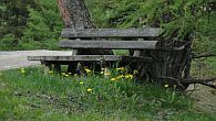 Sommer auf der Alm