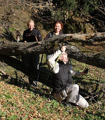 Wandern  auf dem Erlebnisweg